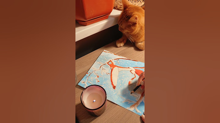 почему Гриша не Грихаил#cat#кот#котик#рек#коте#котэ#funnycats#котомания#котикитикток#хвостики