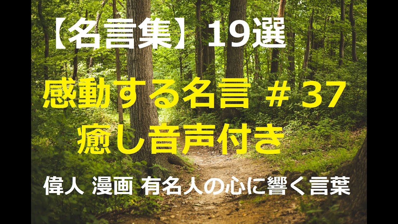 名言集 感動する名言 37 偉人 漫画 有名人 癒し音声付 心に響く言葉 Youtube 名言集 感動する名言 37 偉人 漫画 有名人 癒し音声付 心に響く言葉 Youtube