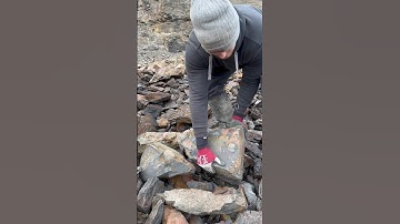Hunting for fossils on the beach after a storm and cliff fall #storm #sea #hammer #fossil