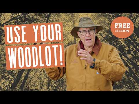 Your Woods Are Worth More Than You Think (12 Uses for Your Woodlot)