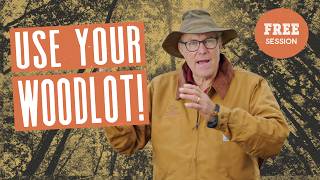 Your Woods Are Worth More Than You Think (12 Uses for Your Woodlot)