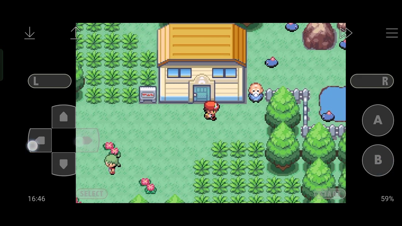 Pokemon Clover Gameplay #7