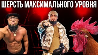 видео: ШЕРСТЬ МАКСИМАЛЬНОГО УРОВНЯ СИДЕНКО картинка: ШЕРСТЬ МАКСИМАЛЬНОГО УРОВНЯ СИДЕНКО