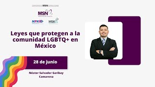 Leyes que protegen a la comunidad LGBTQ+ en México by Corporativo MSN Consultores 1,107 views 10 months ago 4 minutes, 30 seconds