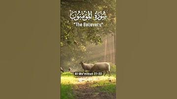 Surah Al Mu'minun 21-22  Hindi - Urdu Audio translation |  سورة المؤمنون #surahalmuminun