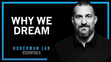 Understand and Use Dreams to Learn and Forget | POWERFUL SPEECH INSPIRED BY ANDREW HUBERMAN!