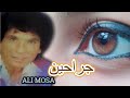 علي موسى جراحين Ali Mousa Grahen L 