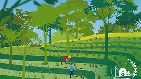 Basics of Agroforestry