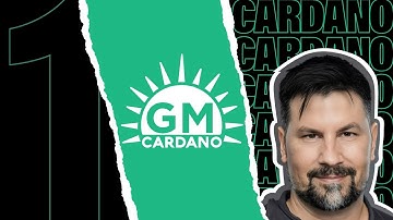 Governance Matters Cardano - Interim Constitution Committee