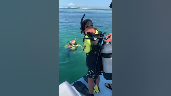 1st Open Water Dive