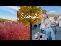 Back in seoul vlog  coffee breaks fall foliage and new haircut