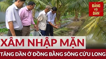 Xâm nhập mặn ở đồng bằng sông Cửu Long tăng dần | Đảng với Dân