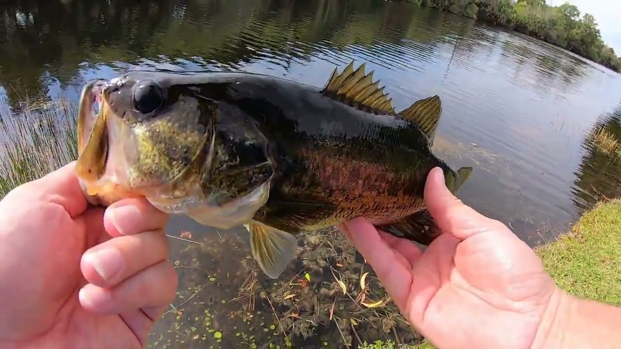 MORE BAD WEATHER EQUALS MORE GOOD BASS FISHING!!!