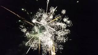 Fourth of July 2014 Harrison