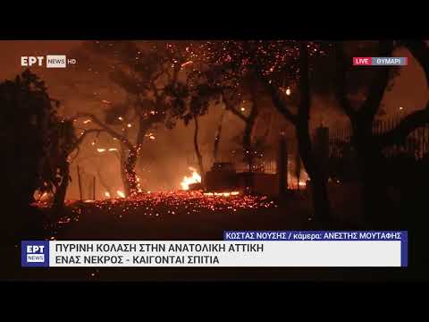 Φωτιά στο Θυμάρι