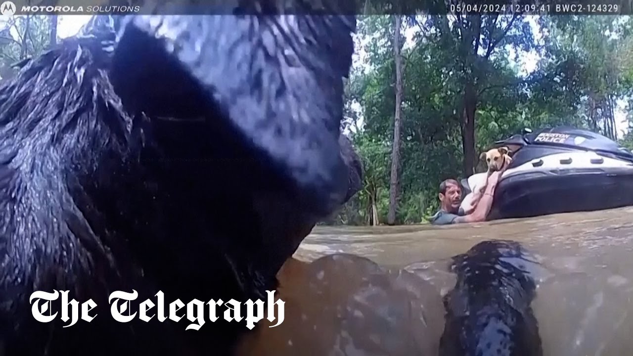 Texas police officer rescues man and dogs from floodwaters - YouTube