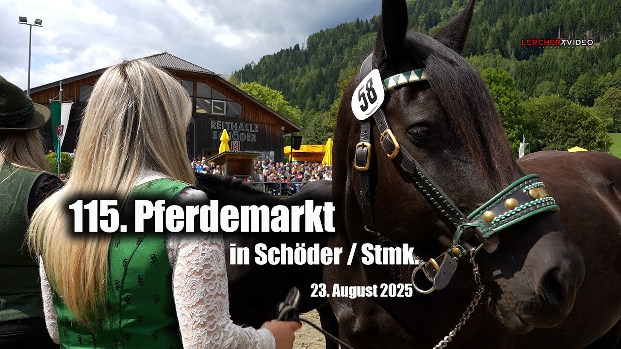 115. Pferdemarkt in Schöder
