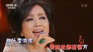 齊豫  橄欖樹  【KTV音聲分離導唱字幕】