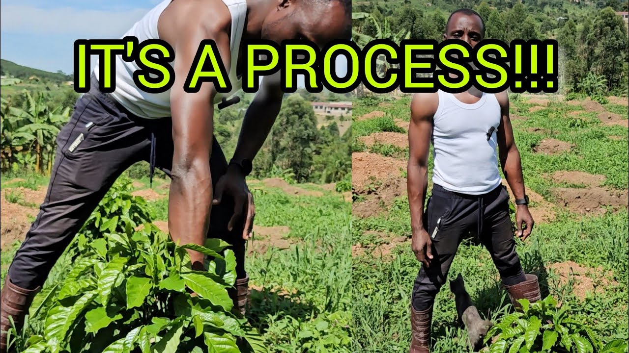 GROWING COFFEE IS A JOURNEY, NOT AN INSTANT DESTINATION.