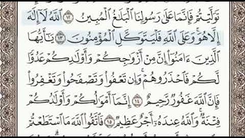 سورة التغابن الصفحة 557 الشيخ محمد صديق المنشاوي