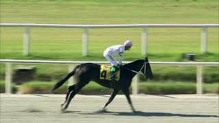 230218 c01 VICTORIA FRACYTRIP (BRZ)