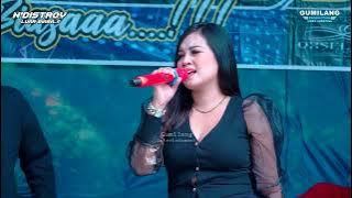 N'DISTROY MUSIC - JANGAN DENDAM YANI EMPRITA - WEDDING ULIN NUHA & FAMERNIA ANGGARA BATEALIT JEPARA