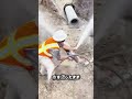 配管修理で水を止めない理由