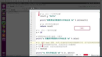 黑马程序员 Python 教程： 228 变量的引用 03 函数返回值传递引用