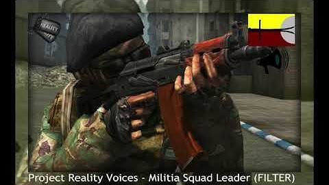 Project Reality Voices - Militia SquadLeader FILTER