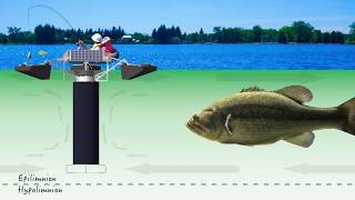 Part 2: Cyanobacteria (Blue-Green Algae) Control Mechanisms for Lakes &amp; Source Water Reservoirs