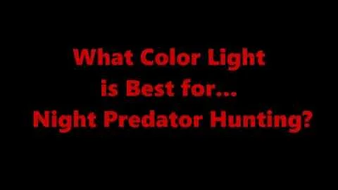 Predator Hunting:  What is the Best Light Color for Night Hunting?