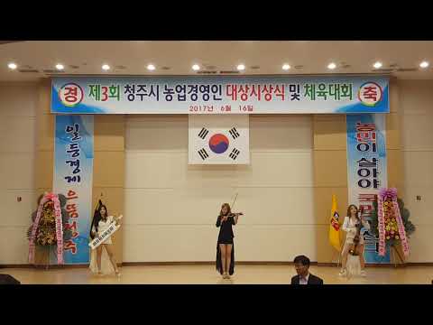 Capa de 전자현악 스텔라