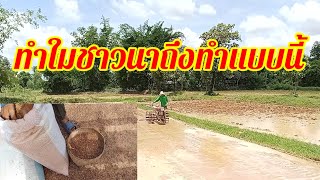 เพราะอะไร ทำใมชาวนาถึงทำแบบนี้ ก่อนลงเมล็ดพันธุ์