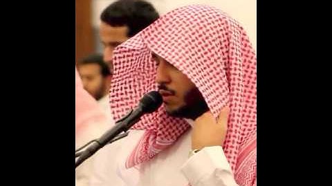 مقتطفات من سورة النمل