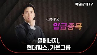 [김흥태의 일급종목] 필에너지, 현대힘스, 가온그룹