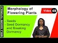 Morphology of Flowering Plants - Seeds - Seed Dormancy and Breaking Dormancy