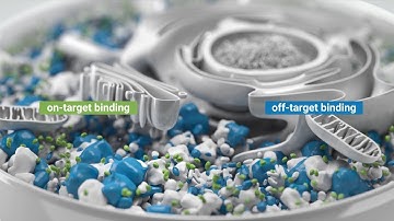 LiP-MS: A Novel Target Deconvolution Approach