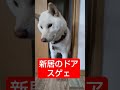 新居のドアスゲェ