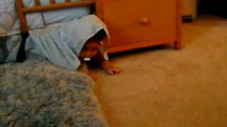 UNDER THE BED WE GO
