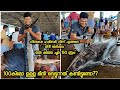 How to buy fish from kollam Neendakara Port Harbour