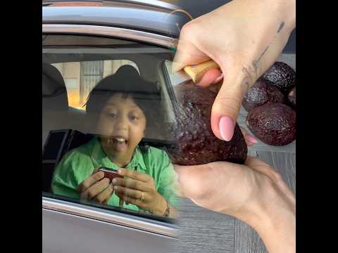 ملاك سدات عليها الطوموبيل