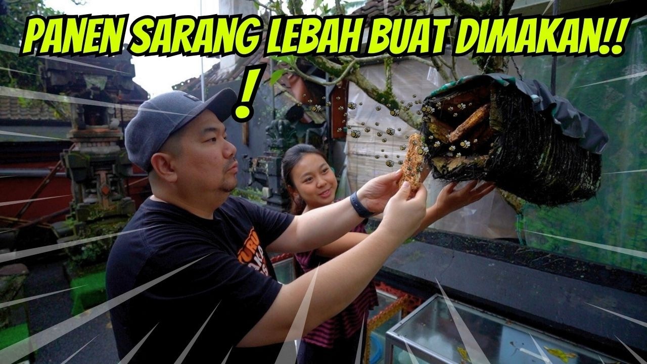 KULINER PALING UNIK!! SARANG LEBAH TERNYATA BISA DIOLAH BEGINI!!