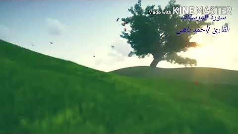 سورة المرسلات الشيخ أحمد باهى