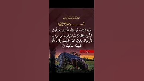 سورة النساء اية ١٧