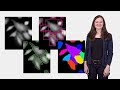 Bioimage Analysis 3: Segmentation (Anne Carpenter)