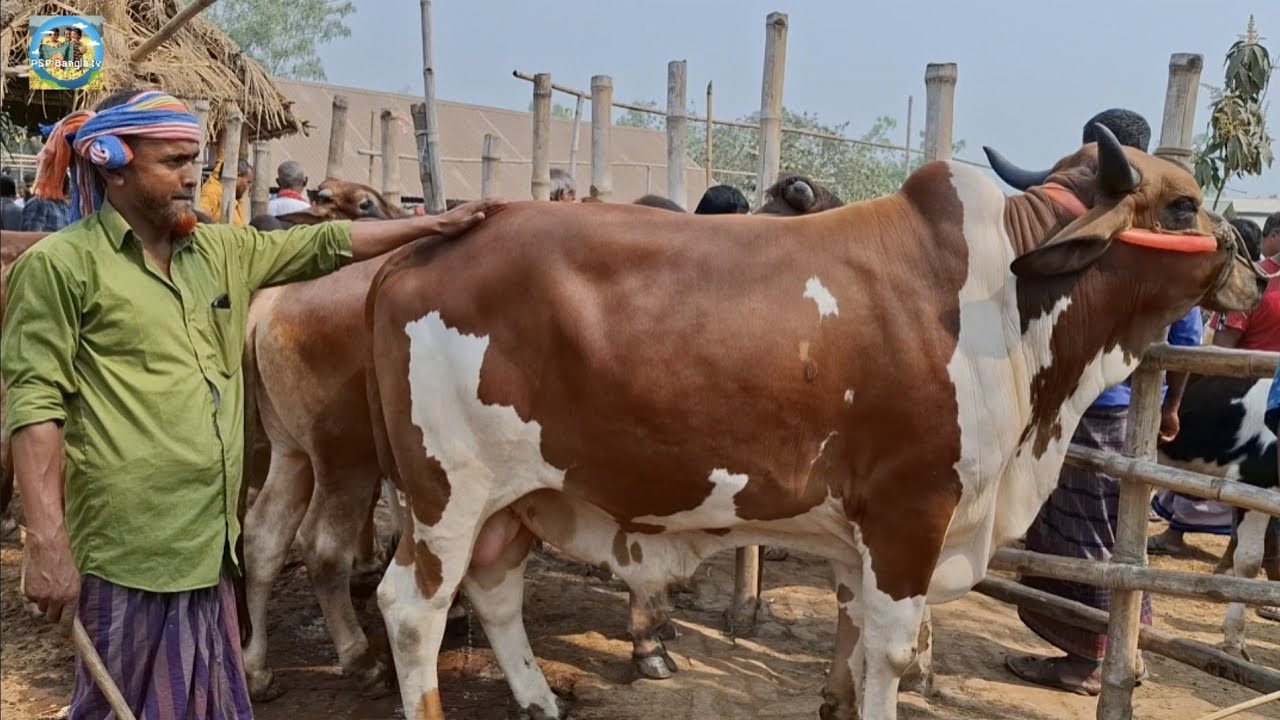 @ শুক্রবার ৬ মার্চ