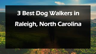3 Best Dog Walkers in Raleigh, North Carolina | Dog Walking Services