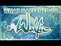 What Happened to Wakfu