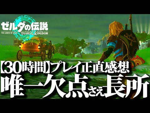 【ゼルダの伝説ティアキン】30時間プレイ。他ゲーを遊ぶから分かるゼルダ・任天堂の凄さ、唯一の欠点さえも長所になるヤバい神ゲー【ティアーズオブザキングダム】