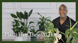 Plants Hate These 20 Things